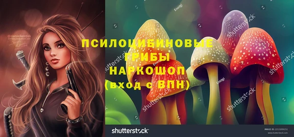 spice Алексеевка